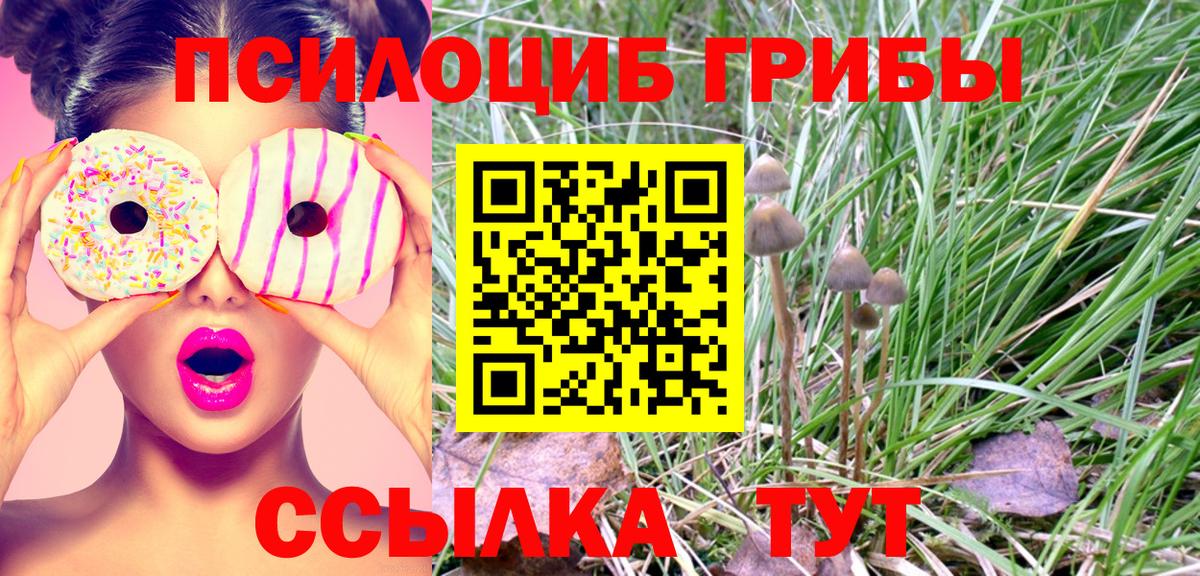 Галлюциногенные грибы GOLDEN TEACHER Уссурийск