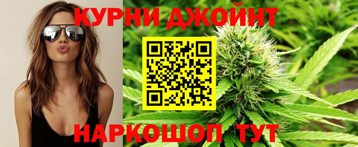 Конопля индика Уссурийск